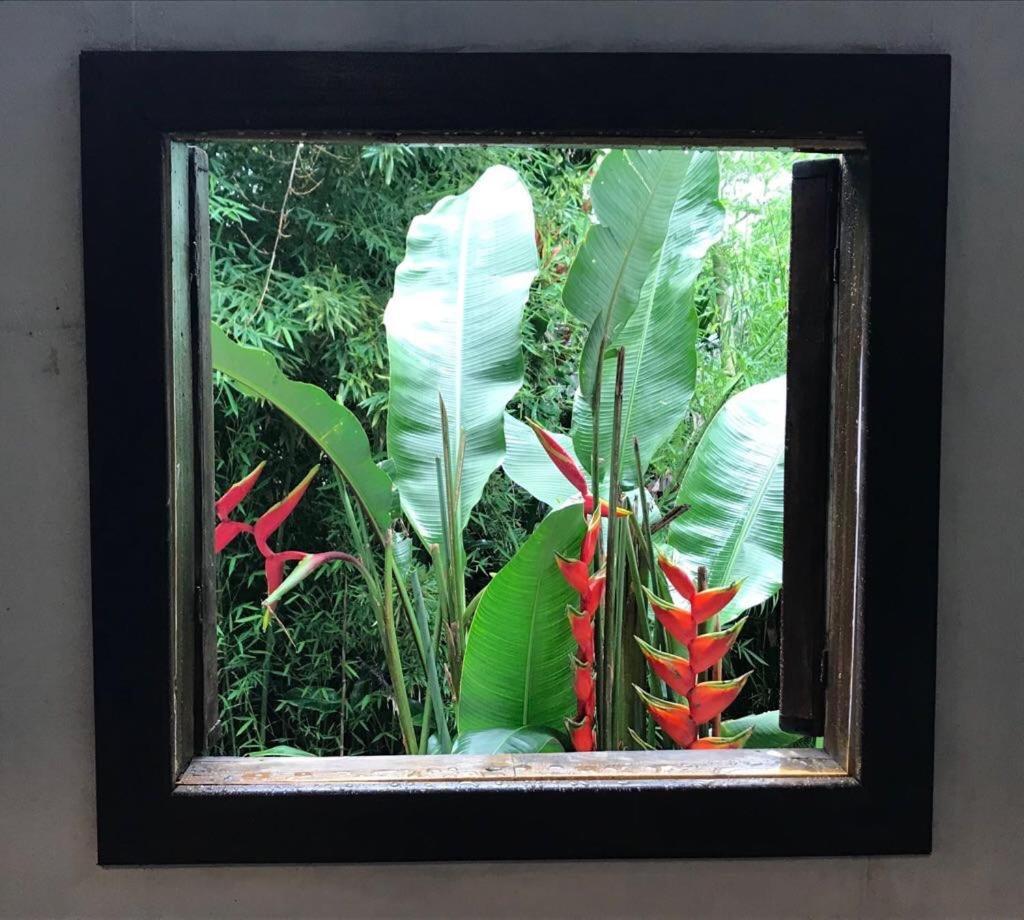 Pousada Rainforest House - Ilha Grande المظهر الخارجي الصورة