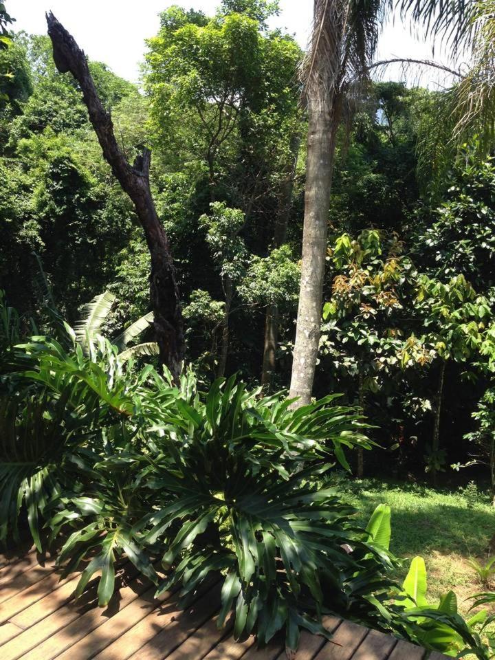 Pousada Rainforest House - Ilha Grande المظهر الخارجي الصورة