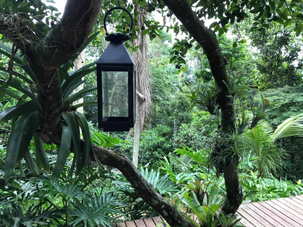 Pousada Rainforest House - Ilha Grande المظهر الخارجي الصورة