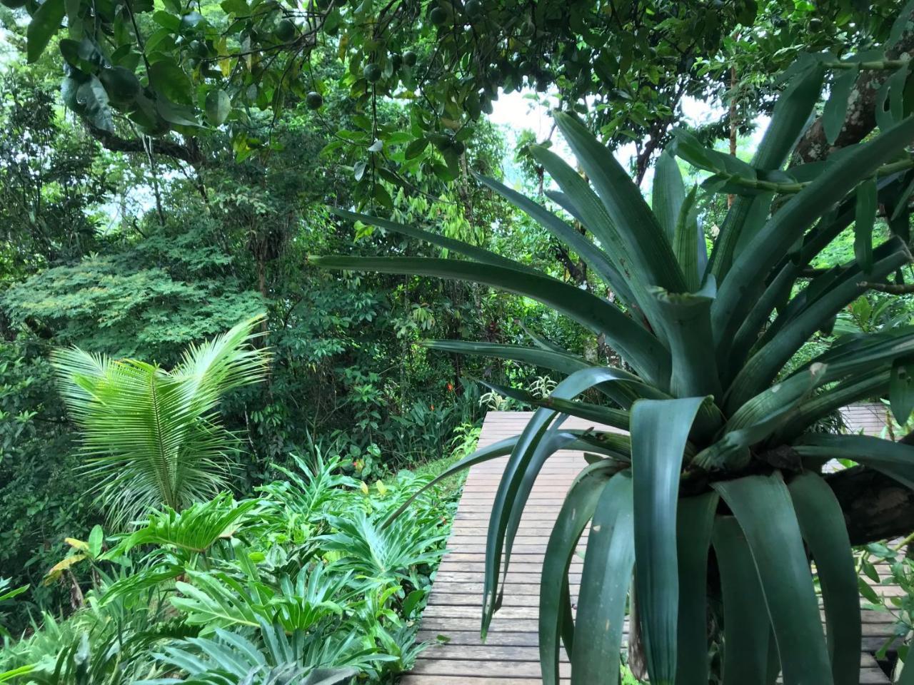 Pousada Rainforest House - Ilha Grande المظهر الخارجي الصورة