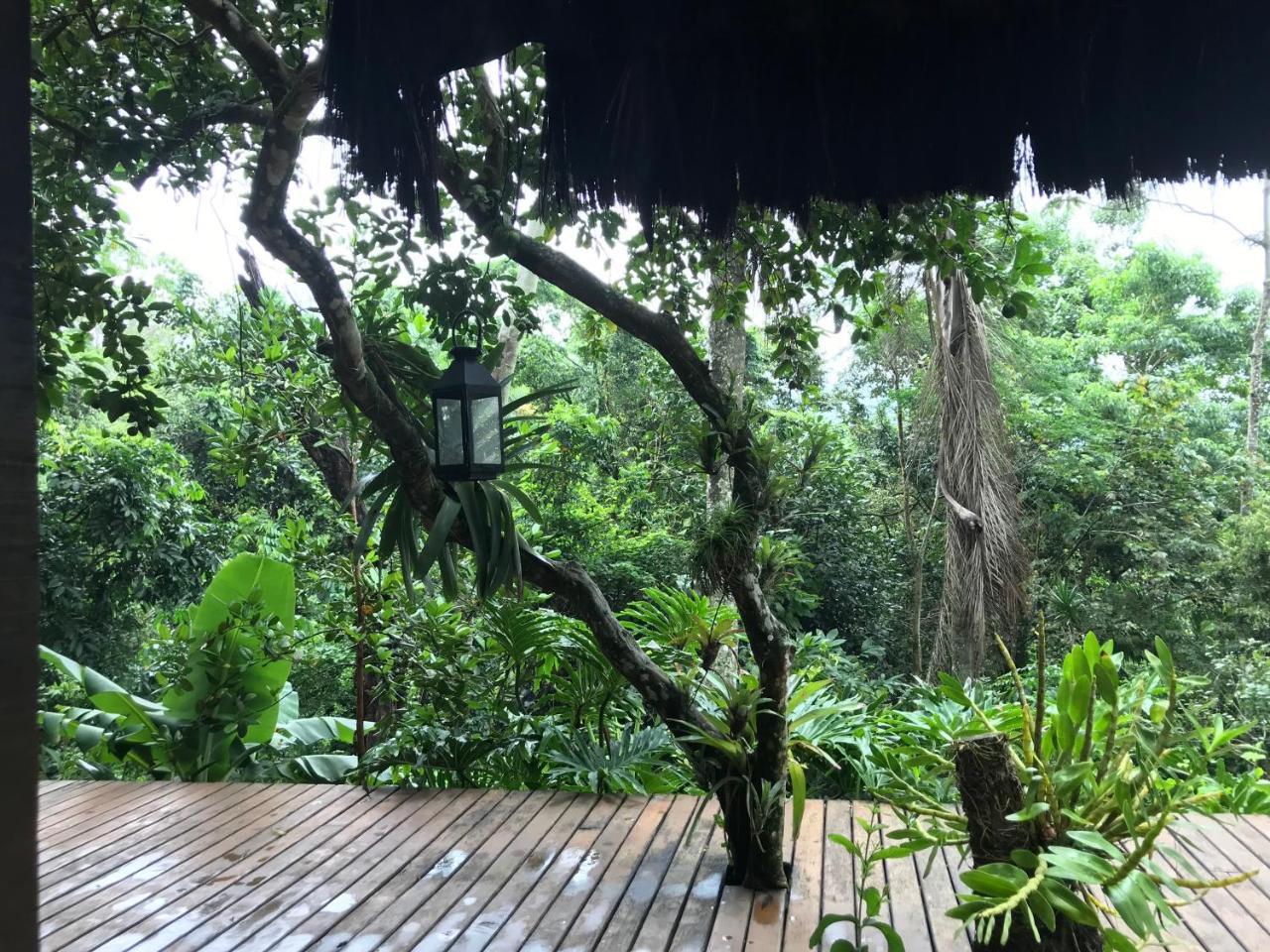 Pousada Rainforest House - Ilha Grande المظهر الخارجي الصورة