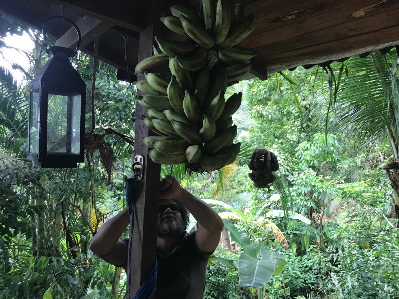 Pousada Rainforest House - Ilha Grande المظهر الخارجي الصورة